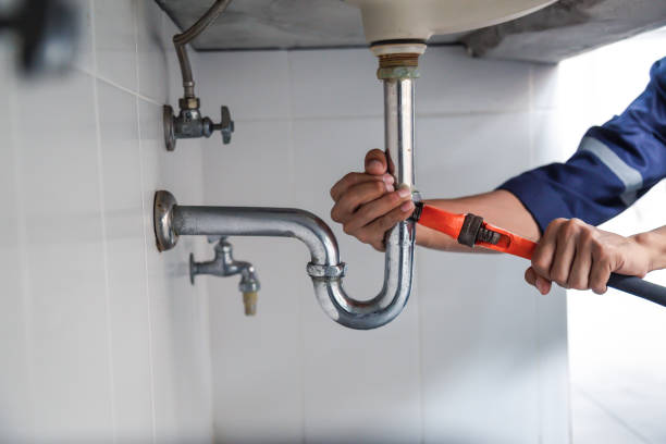 Best Plumbing Inspection Services  in Bosque Farms, NM