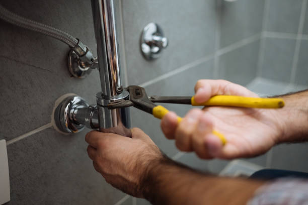 Best Plumbing Services Near Me  in Bosque Farms, NM